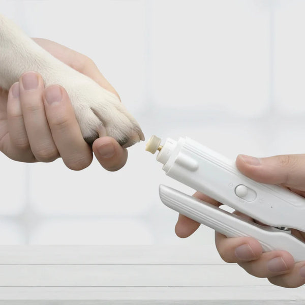 Rifinisci con la Levigatrice